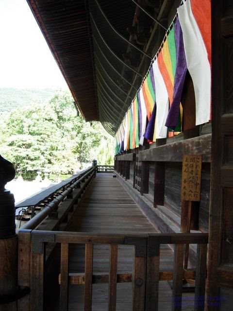 長野市 善光寺 Zenkoji Temple, Nagano, Саку