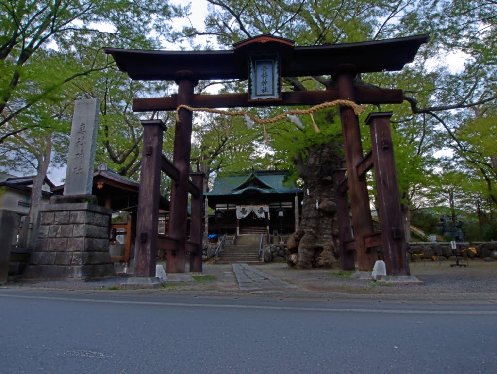 The Tsumashina Shrine, Саку