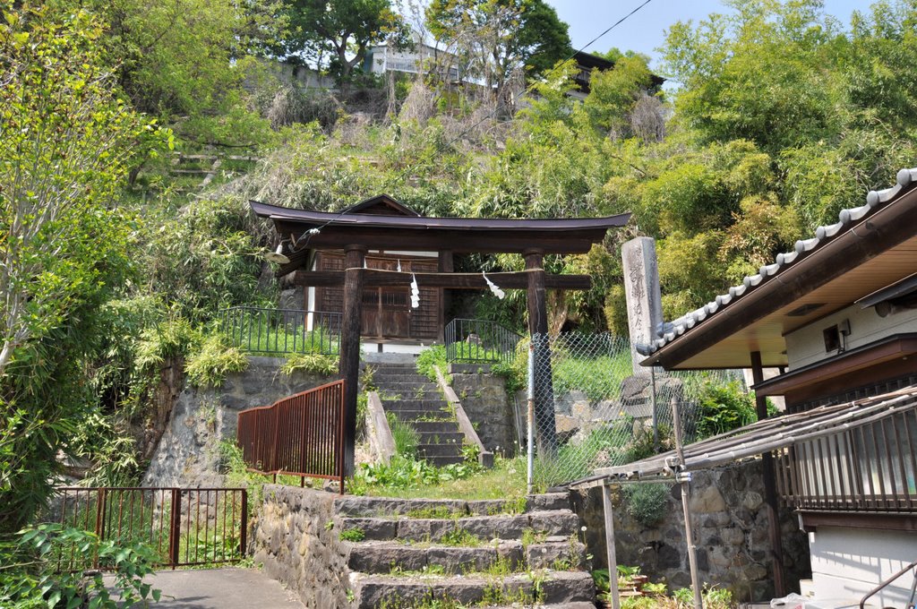 Suwa-Jinja  諏訪神社  (2009.05.09), Сува