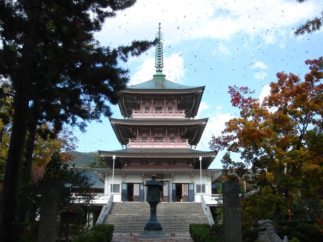 Zenkouji Temple (善光寺2), Сува