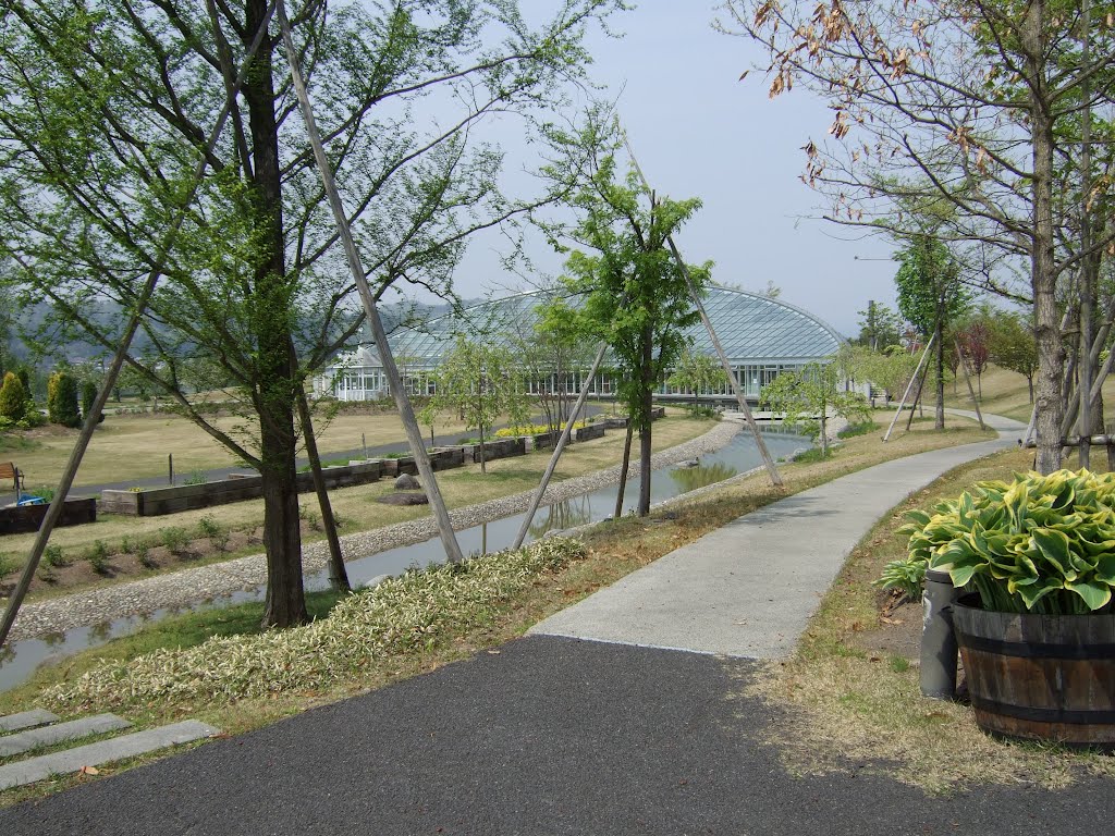Cherry Spa Park, Нагасаки