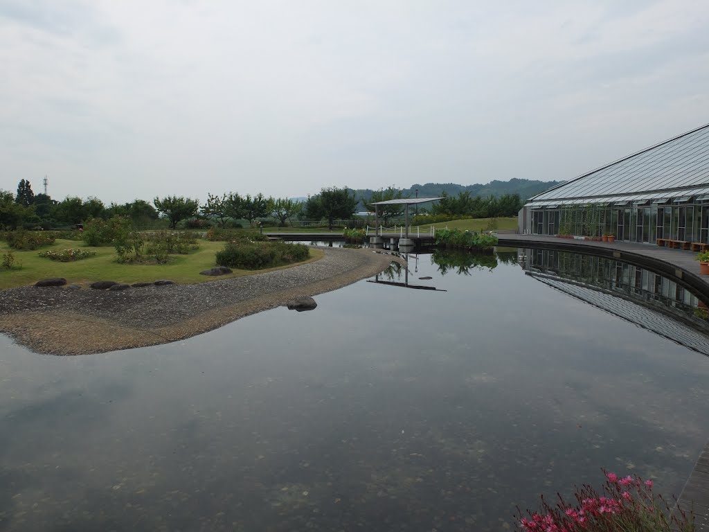 Small Park Pond, Нагасаки