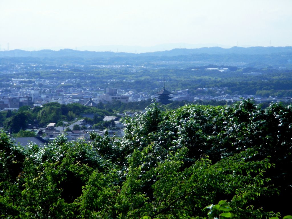 Nara overview from Byakugou-Ji, Кашихара