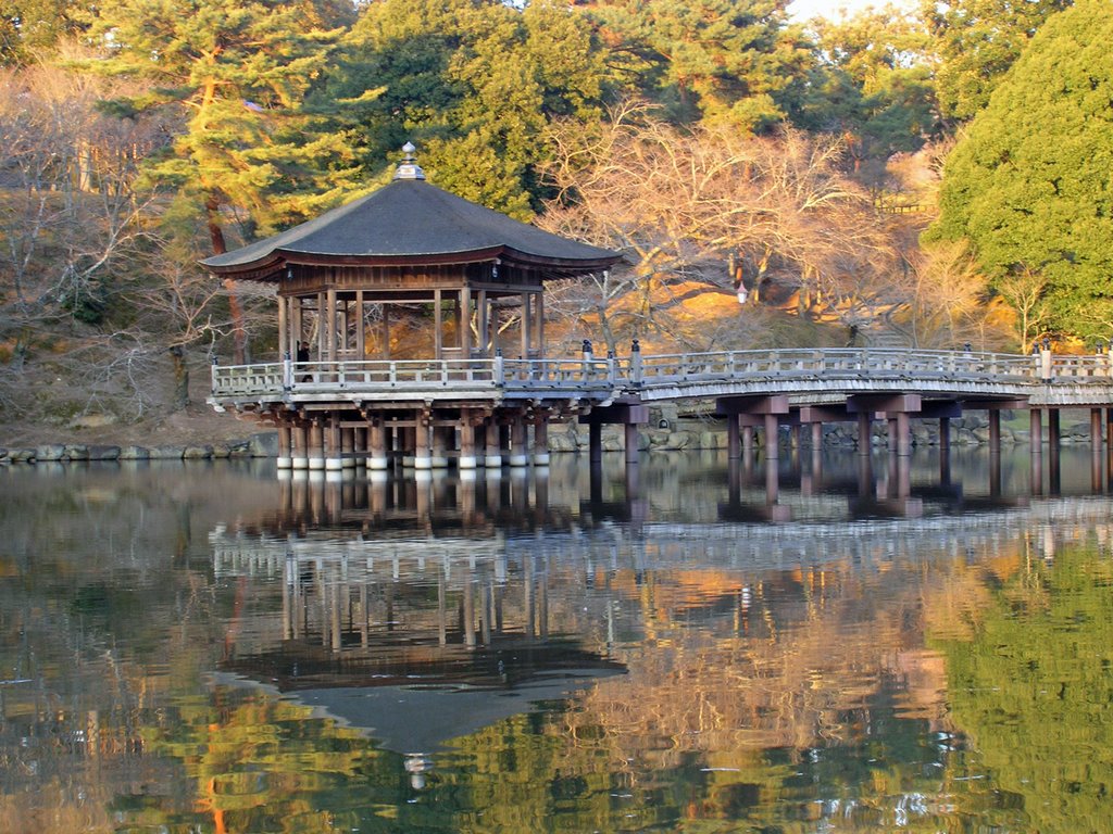 Ukimidō in the Nara-park, Кашихара