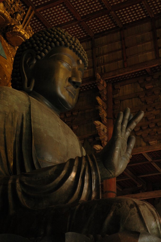 Great Buddha of Todaiji (Daibutsu), Кашихара
