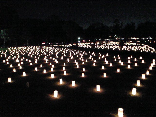 Nara Tokae Festival 04, Нара
