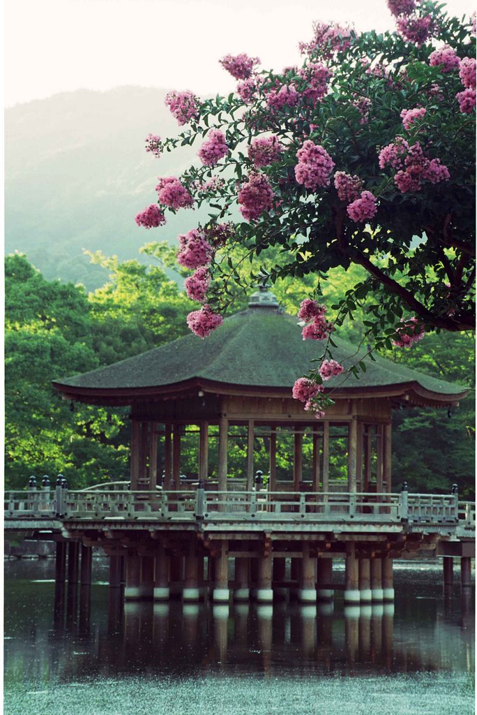浮御堂 Ukimidou, Нара