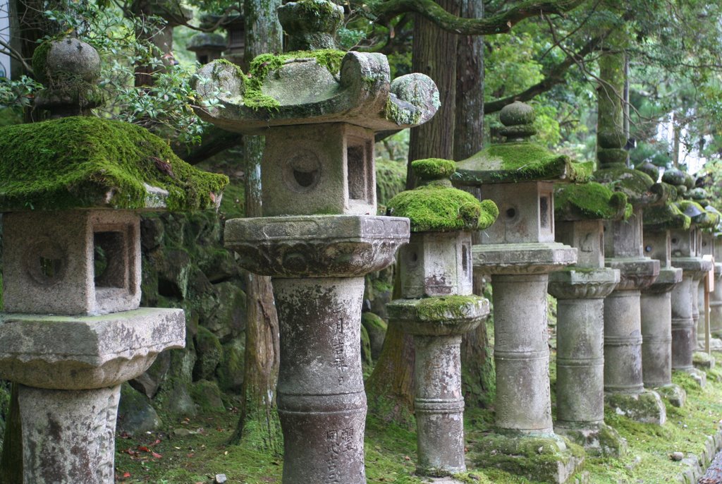 Kasuga temple, Stone lamps, Сакураи
