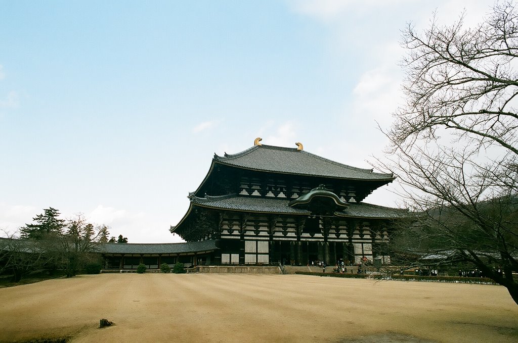 奈良、東大寺 大仏殿（Great Buddha hall in Tōdai ji-temple）, Сакураи