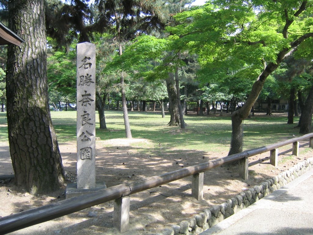 Place of scenic beauty Nara Park, Сакураи