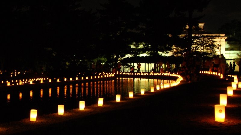 国立博物館の灯り, Сакураи