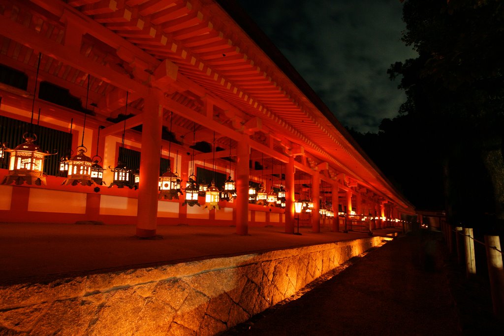 Kasuga Shrine, Сакураи