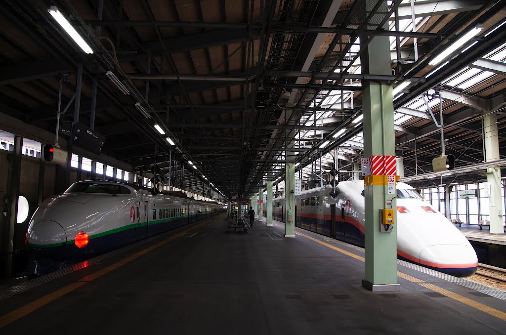 新潟駅　新幹線ホーム  / Niigata Sta. Japan, Ниигата