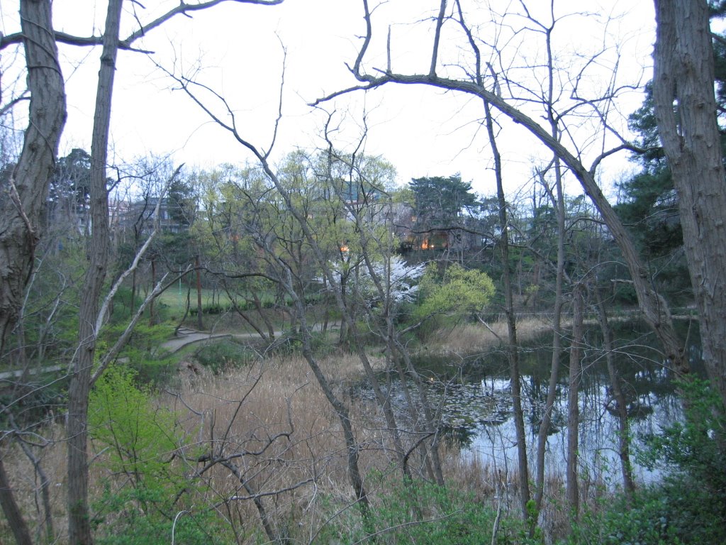 Junsai-Ike Park(じゅんさい池公園), Оджия