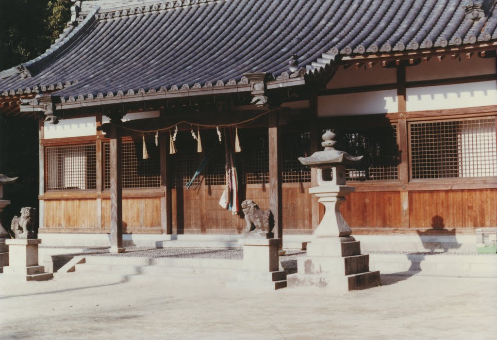 天田神社 社殿（昭和６０年）, Суита