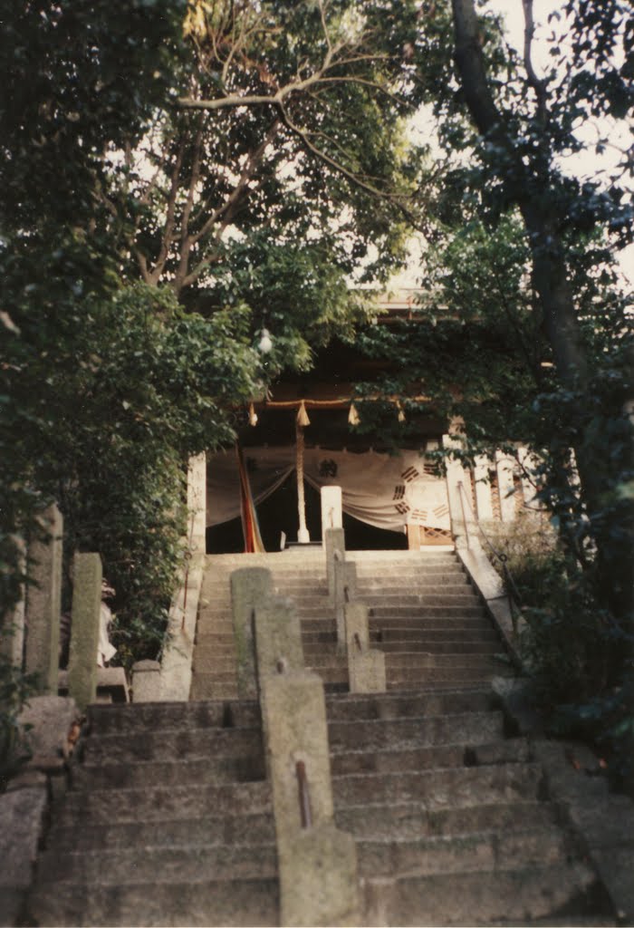 小松神社 社殿, Суита