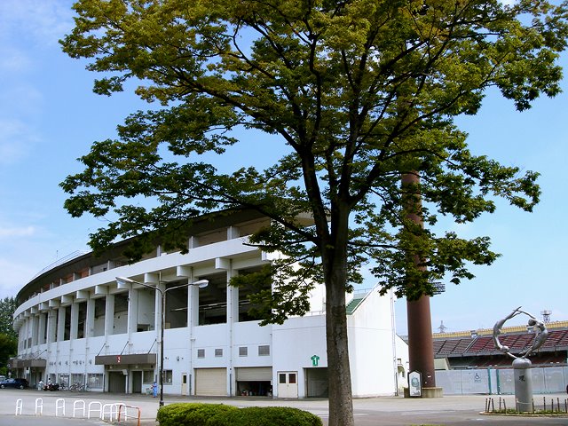 Urawa Komaba stadium 浦和 駒場スタジアム, Вараби