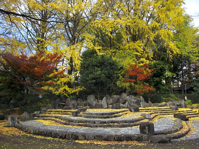 Urawa Tsuki park 調公園, Вараби