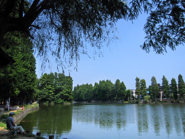 Urawa 別所沼公園, Вараби