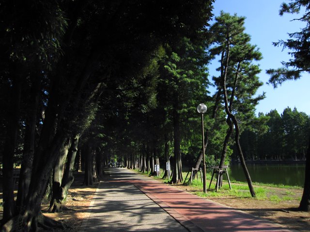 Urawa 別所沼公園, Вараби