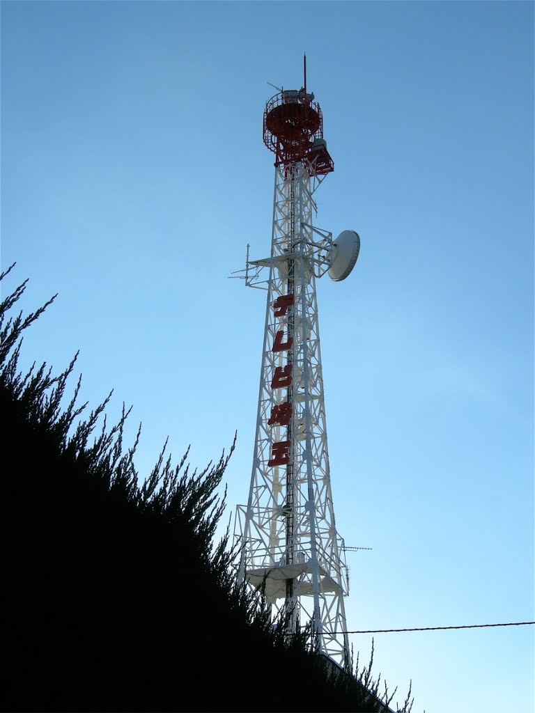 ㈱テレビ埼玉・本社のアンテナ (Antenna of Television Saitama Co.,Ltd. headquarters), Вараби