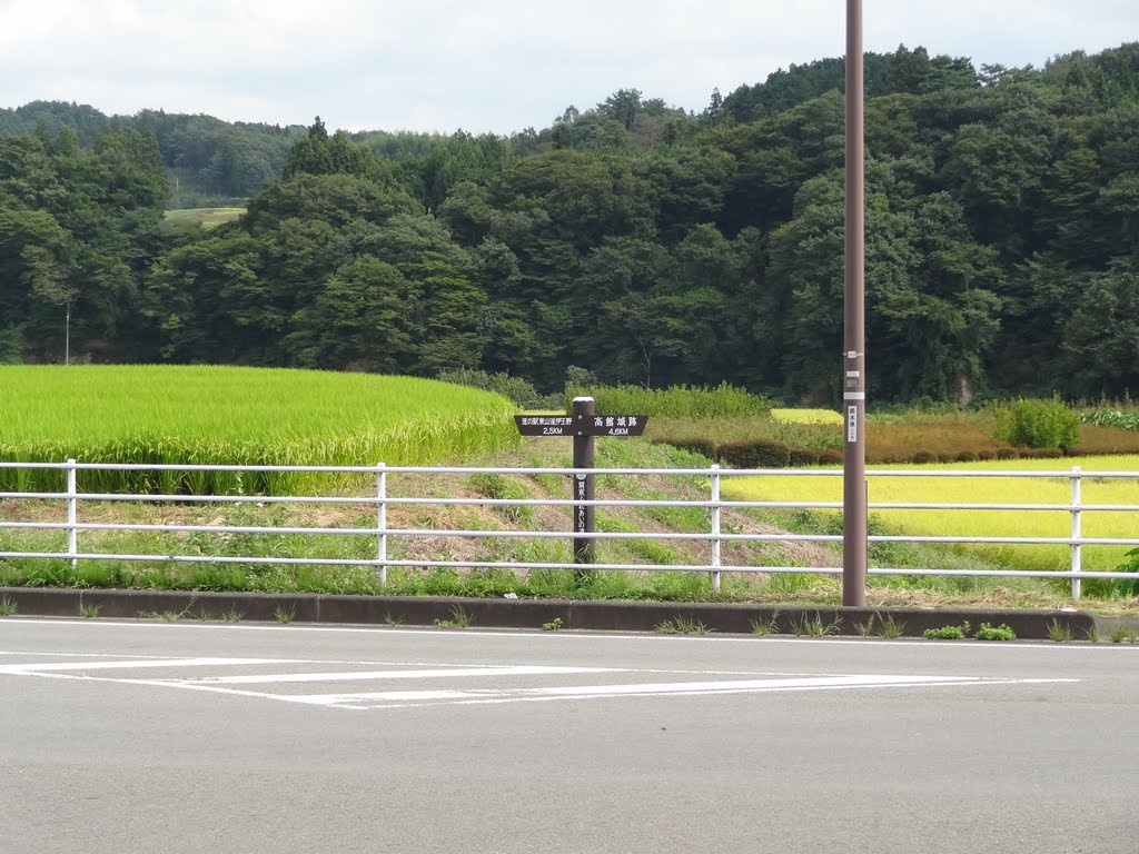 国道294号線稲沢を行く-関東ふれあいの道標識, Йоно