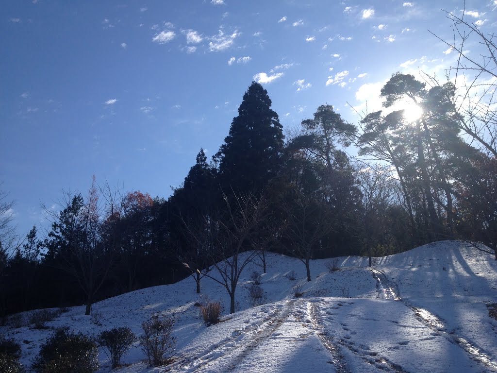 Snowy forest, Йоно