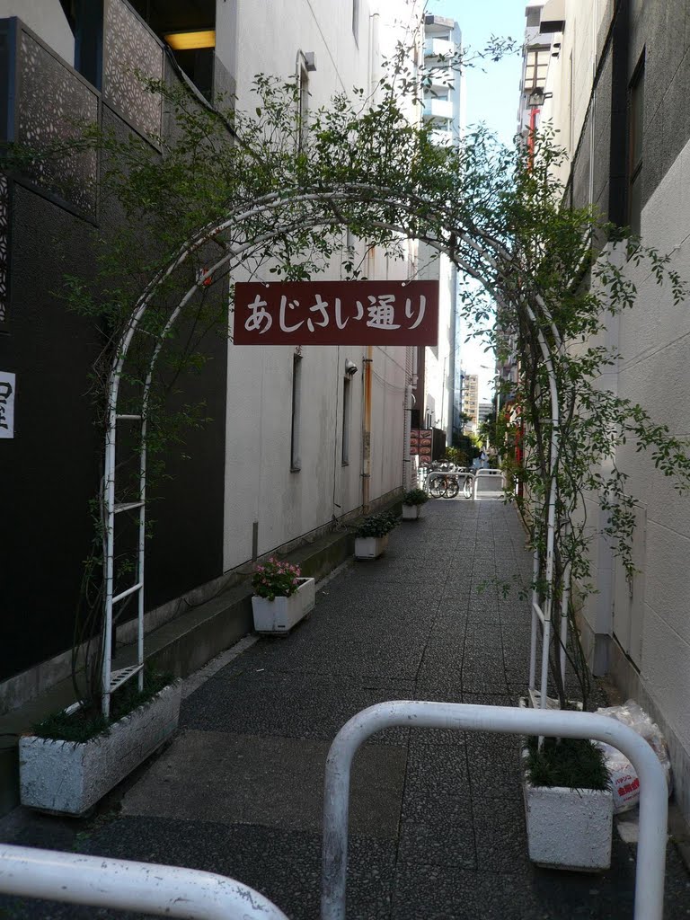 あじさい通り (埼玉県草加市) (Ajisai Lane, Soka, Saitama, Japan), Сока