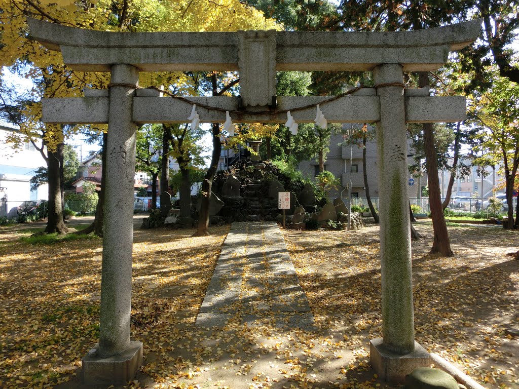 浅間神社, Сока