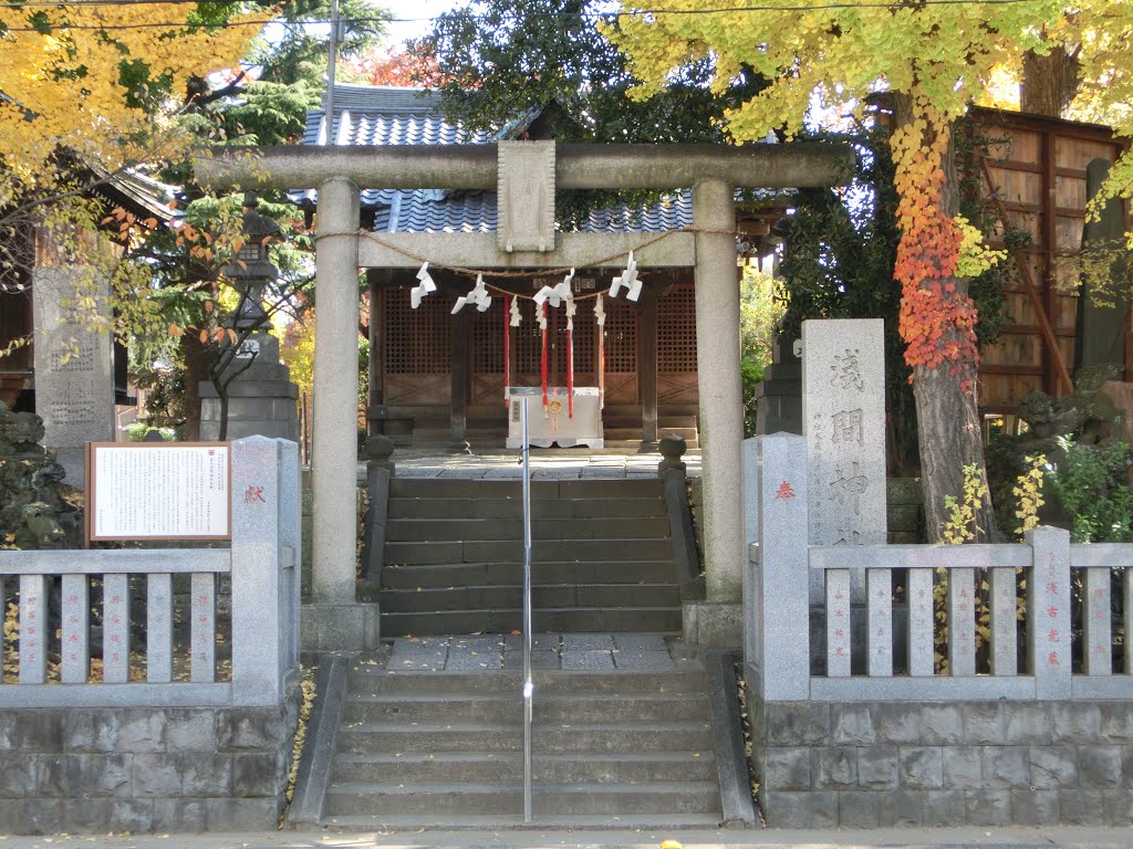 浅間神社, Сока