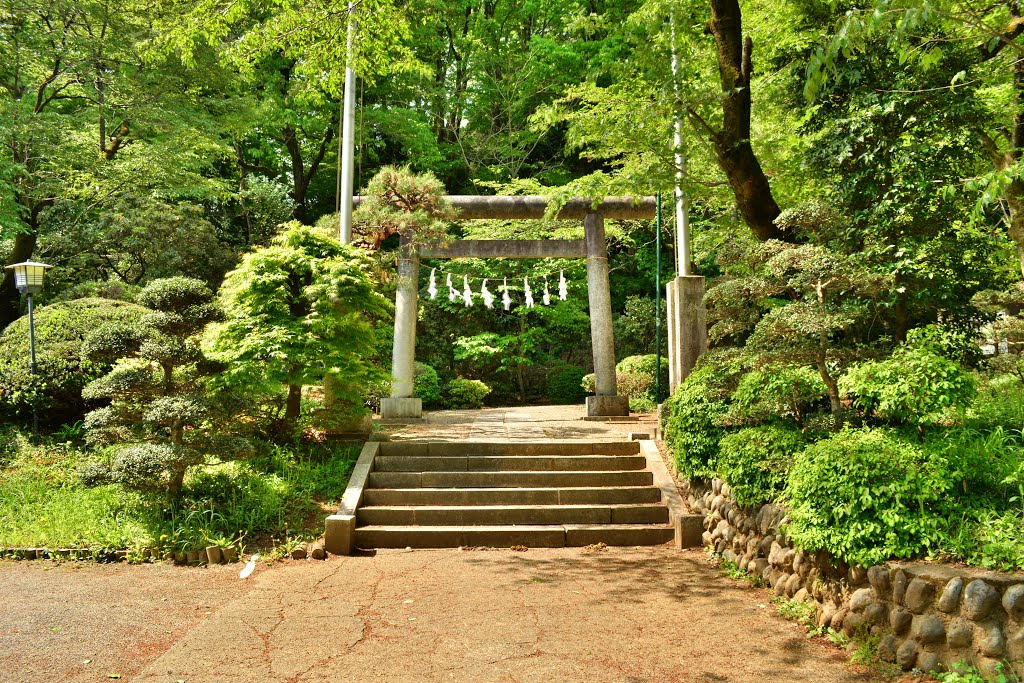 神明社　鳥居　Shinmei shinto shrine, Ханно