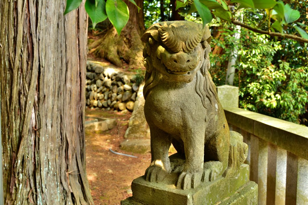 神明社　狛犬　Shinmei shinto shrine, Ханно
