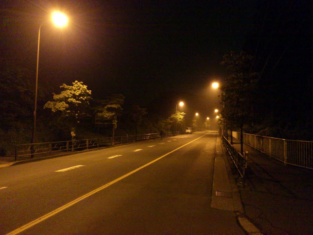 夜の成木街道 吹上峠への道, Ханно