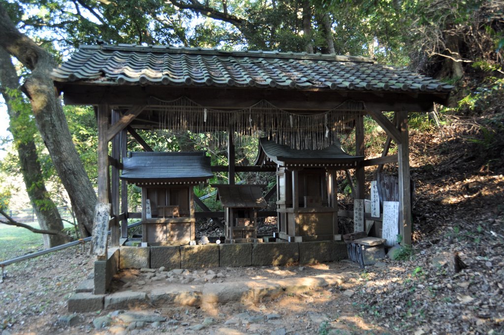 Daitōryō-Jinja  大頭龍神社  (2009.12.23), Атами