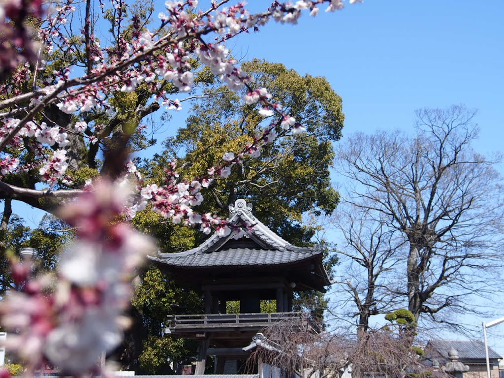 西光寺 / Saiko-ji Temple, Ивата