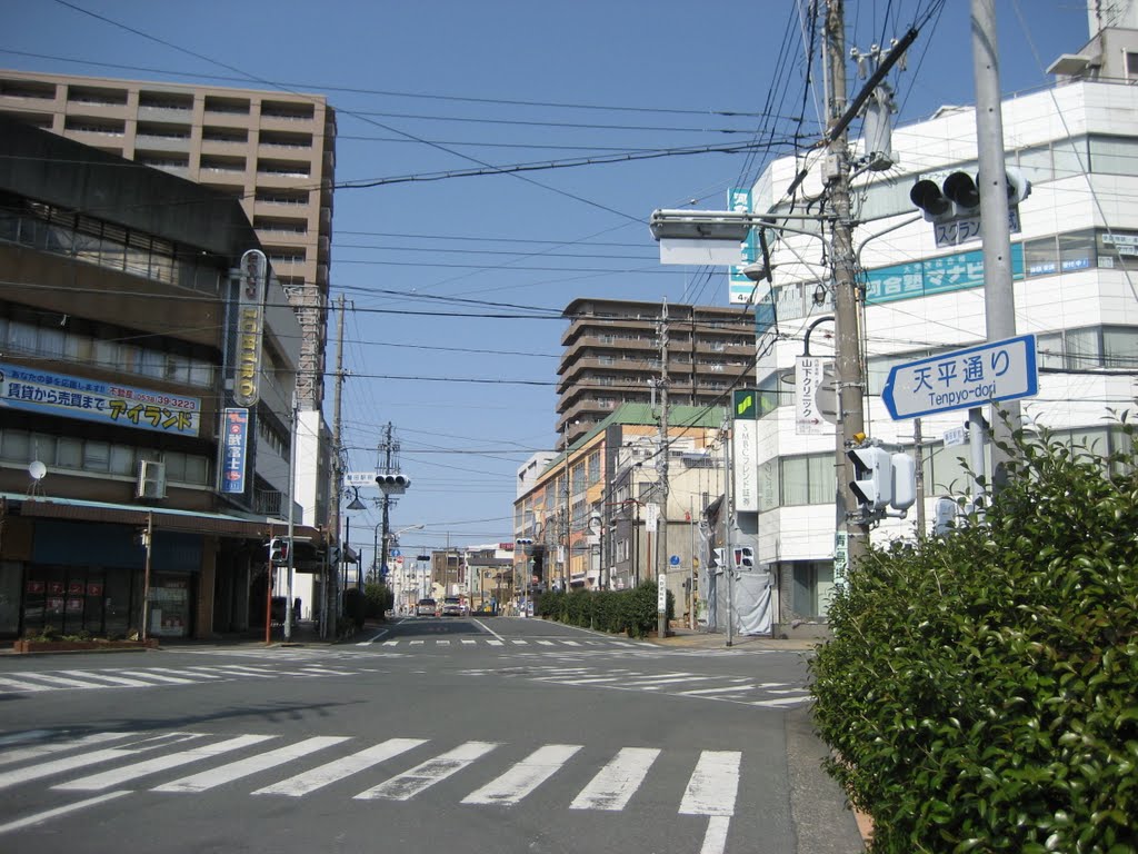 Tempyo-dori St., Iwata City, Ивата