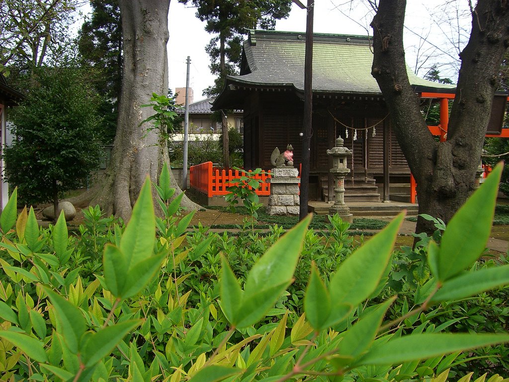 稲荷神社(城東), Ояма
