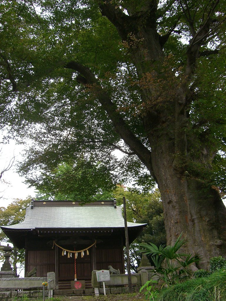 愛宕神社(本郷), Ояма