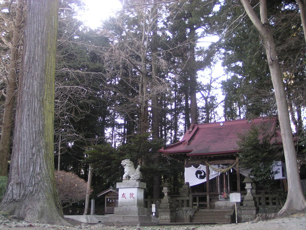 日枝神社(喜沢), Ояма