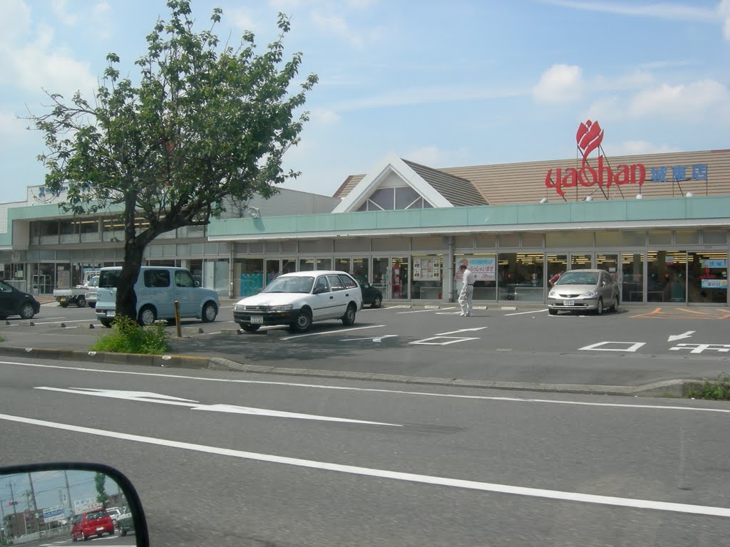 Super market Yaohan Oyama Tochigi Japan, Ояма