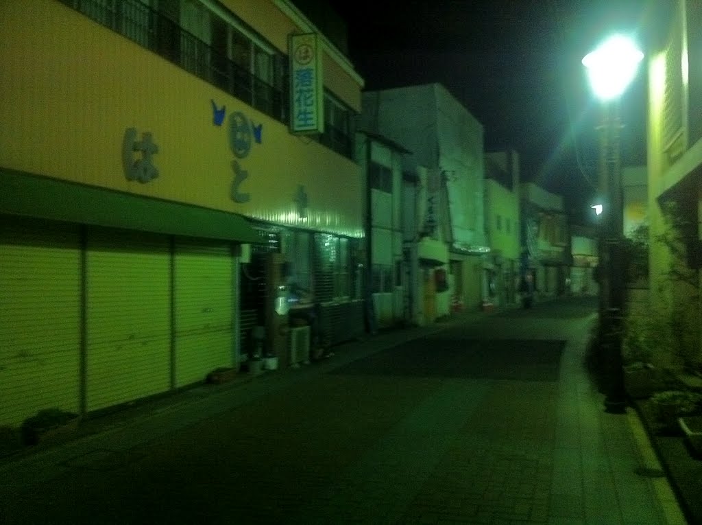 栃木県小山市の商店街の夜 A shopping street in Oyama, Tochigi pref., Ояма
