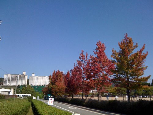 浜田市東公園Hamada City east park, Хамада