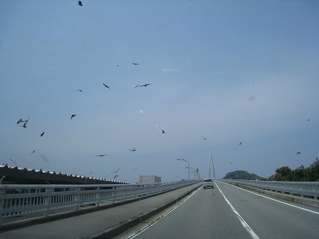浜田漁港 in 2008, Хамада