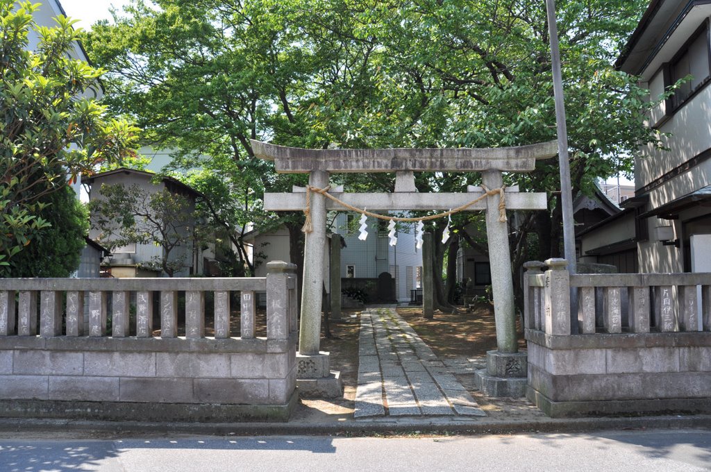 Ryūzō-Jinja  龍蔵神社  (2009.04.29), Матсудо