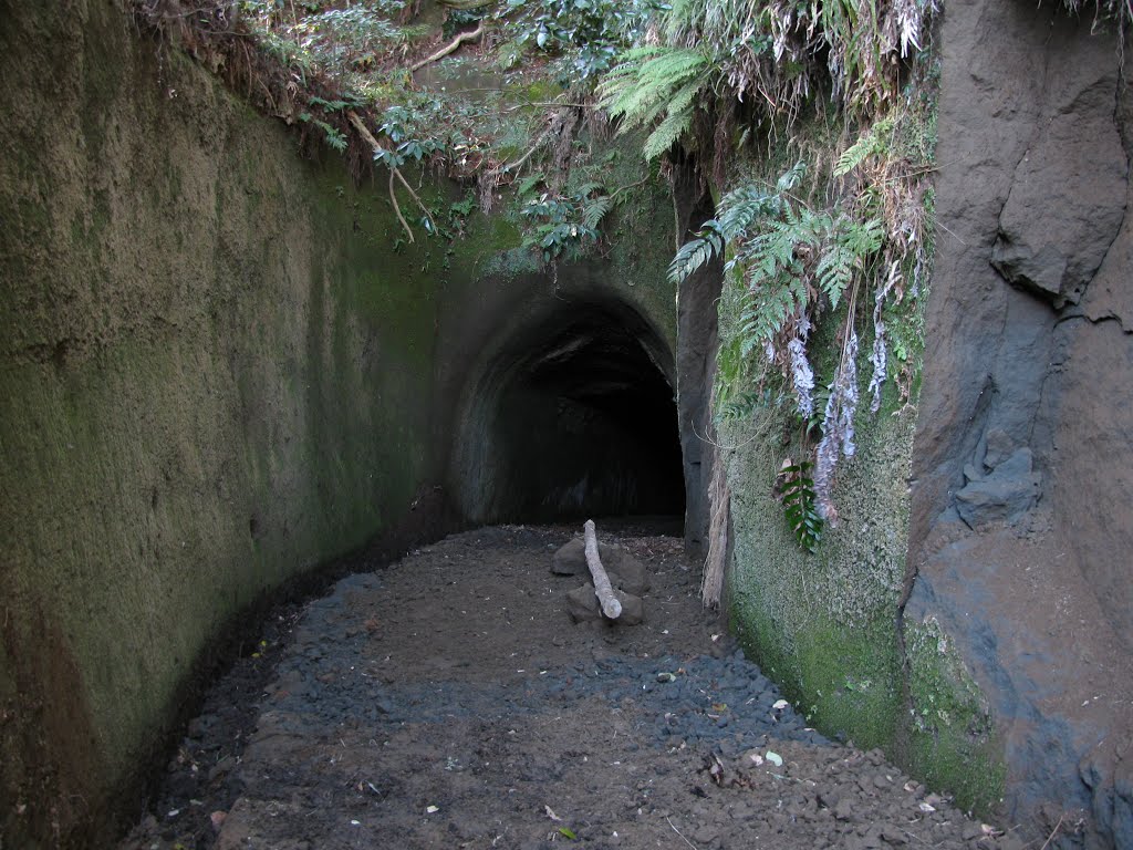 坊谷隧道, Мобара
