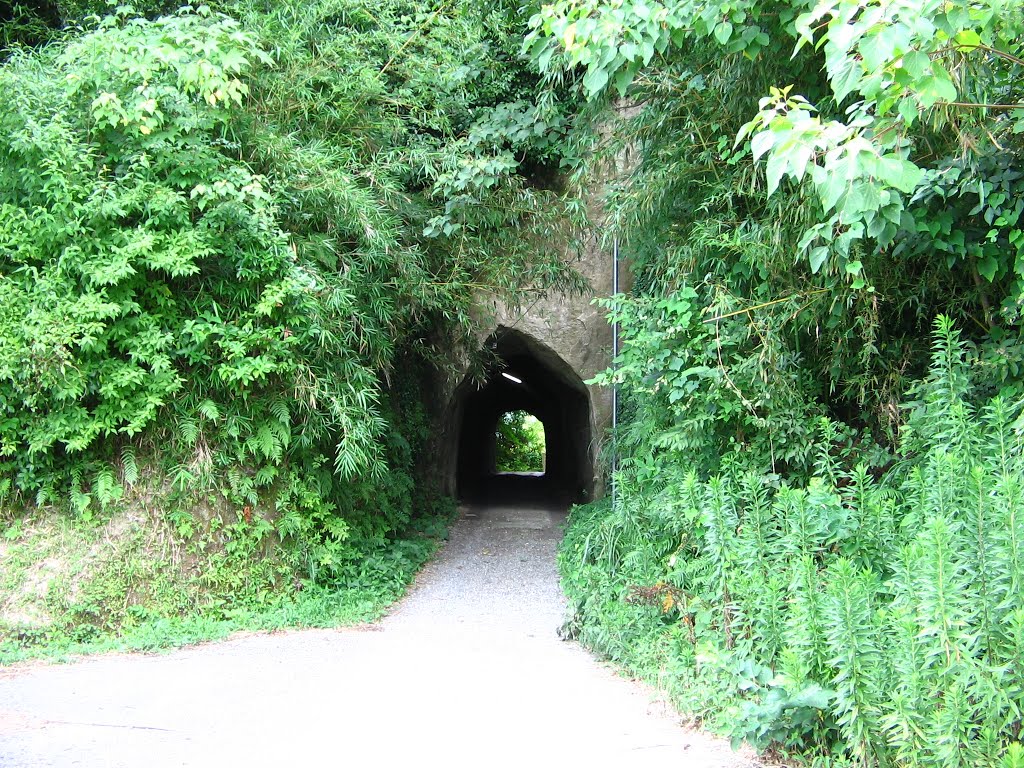 狸谷隧道, Мобара