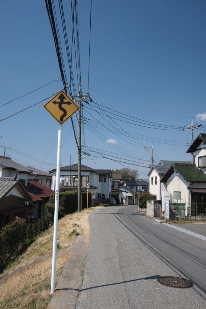 20140323　枝付き右つづら折りあり標識（野田市）, Нода