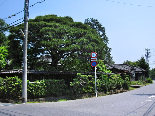 Noda shi 野田市, Нода
