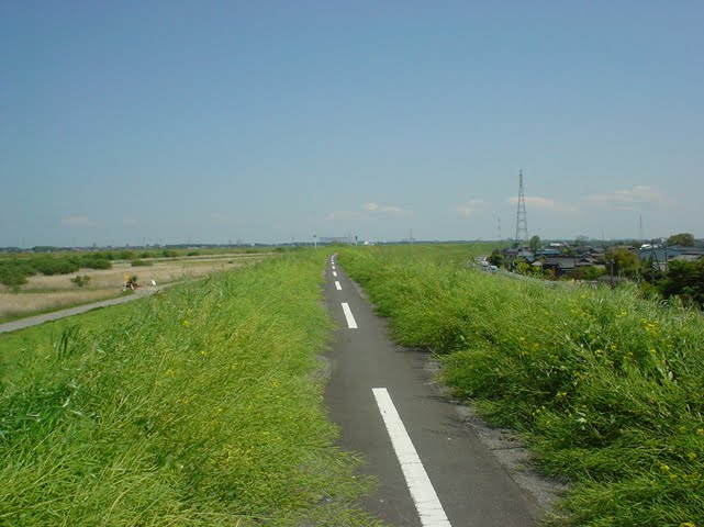 江戸川サイクリングロード, Нода