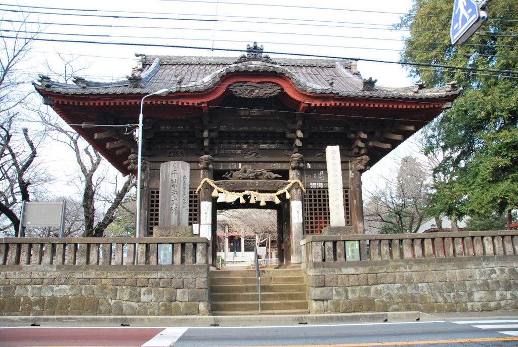 Niō-mon Gate, Chiba-dera Temple  千葉寺 仁王門  (2009.02.11), Татиама